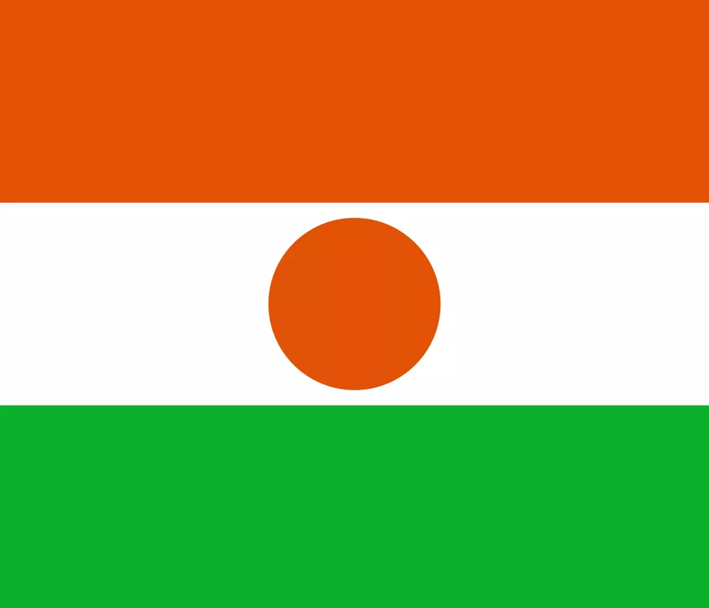 Niger flag