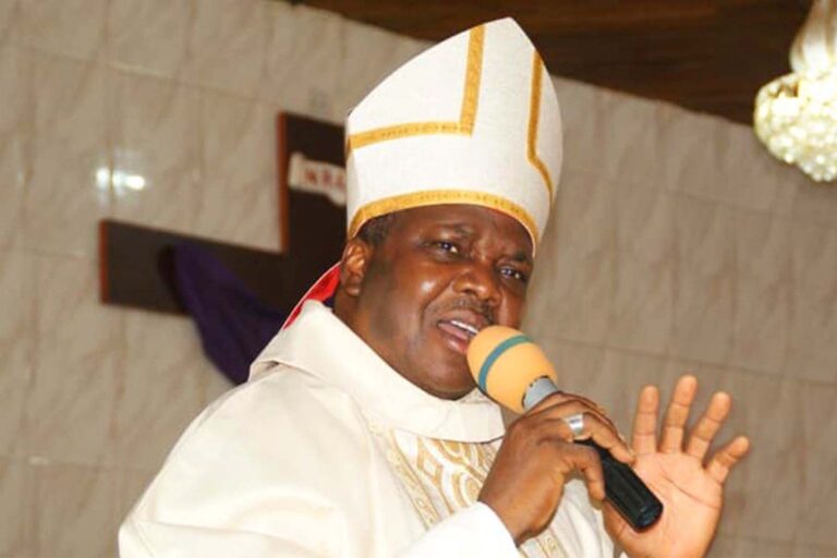 The Plenary of the Dicastery for Communications: A Give and Take Synodal Experience by Bishop Emmanuel Adetoyese Badejo