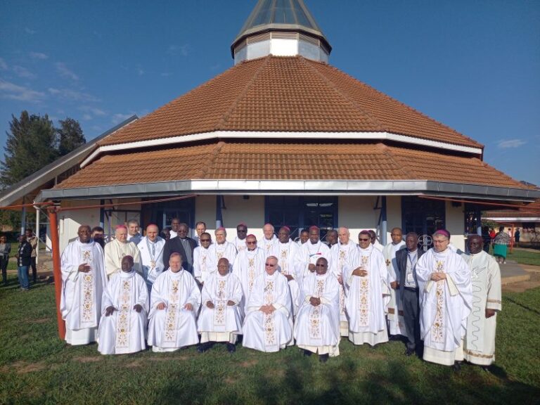 Synodality: The Bishops of Africa and Europe committed to walk together in communion and solidarity