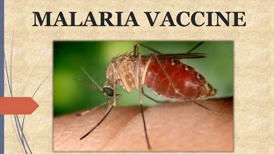 vaccine against malaria to launch in africa